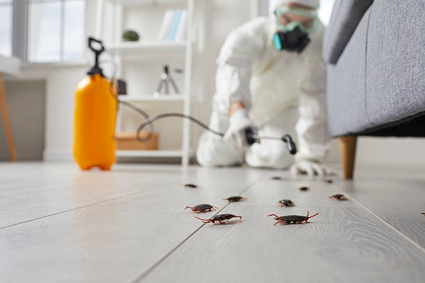 Commercial Rodent Management in Weston Lakes